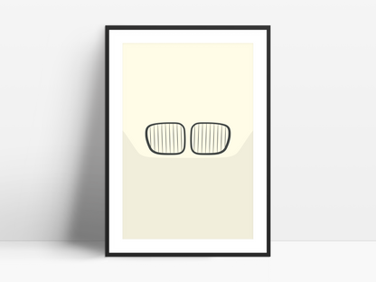 Z3 Kidneys poster
