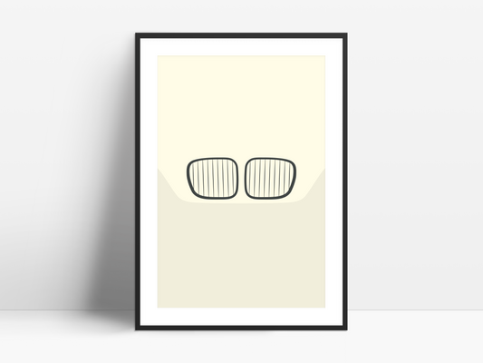 Z3 Kidneys poster