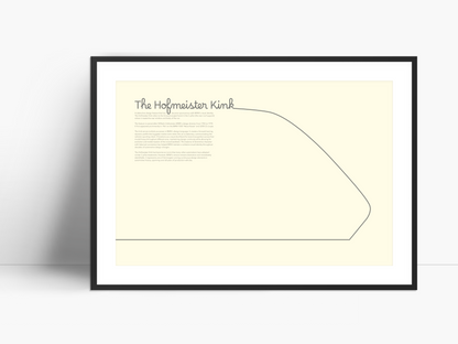 BMW Hofmeister Kink print // Vintage White